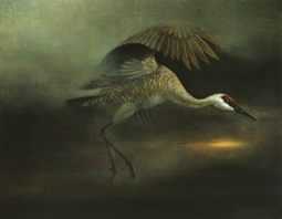 Sandhill Crane I by Gene Roncka Pricing Limited Edition Print image