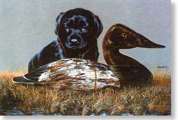 Canvasback Kid by Phillip Crowe Pricing Limited Edition Print image