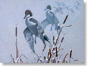 Snowy Refuge by Phillip Crowe Pricing Limited Edition Print image