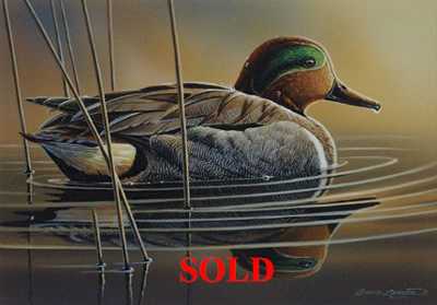 Green Winged Teal by Bruce Langton Pricing Limited Edition Print image