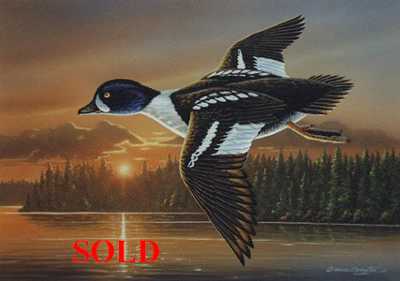 Barrows Goldeneye by Bruce Langton Pricing Limited Edition Print image