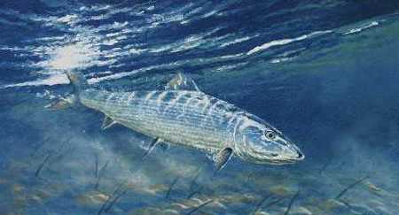 Bonefish by Bruce Langton Pricing Limited Edition Print image