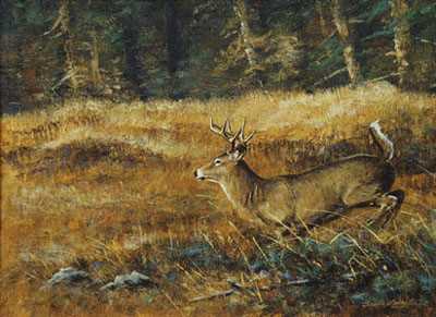 Among The Fields Deer by Bruce Langton Pricing Limited Edition Print image