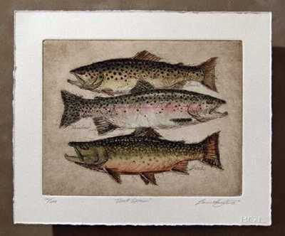 Trout Species Hc by Bruce Langton Pricing Limited Edition Print image