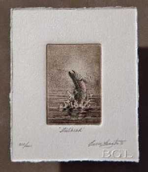 Steelhead Hc by Bruce Langton Pricing Limited Edition Print image