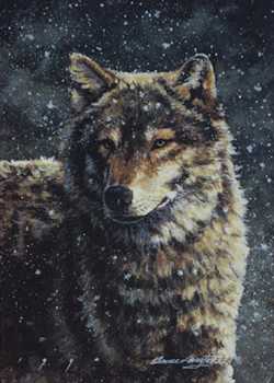 Grey Wolf by Bruce Langton Pricing Limited Edition Print image