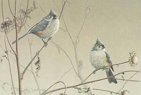 Titmouse Pair by Larry Zach Pricing Limited Edition Print image