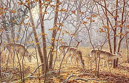Autumn Encounter by Larry Zach Pricing Limited Edition Print image