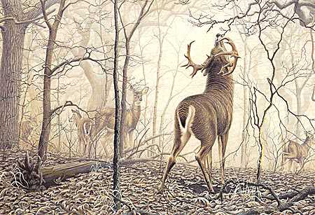 November Frost by Larry Zach Pricing Limited Edition Print image
