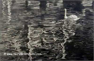 Ripples by Terry Miller Pricing Limited Edition Print image