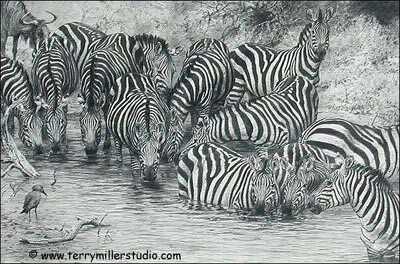 Wading In by Terry Miller Pricing Limited Edition Print image