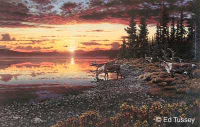 Midnight Sun by Ed Tussey Pricing Limited Edition Print image