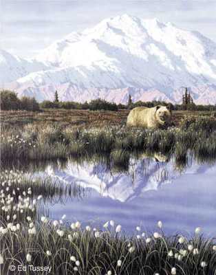 Denali by Ed Tussey Pricing Limited Edition Print image