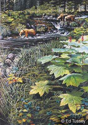 Red Salmon Bears Iii by Ed Tussey Pricing Limited Edition Print image