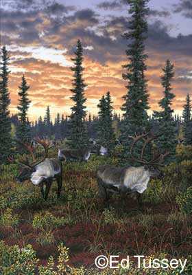 Caribou Dusk by Ed Tussey Pricing Limited Edition Print image