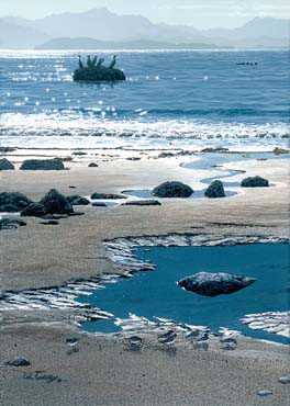Tidepool by Ed Tussey Pricing Limited Edition Print image