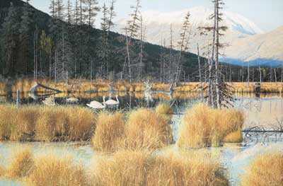 Tern Lake Alaska by Ed Tussey Pricing Limited Edition Print image