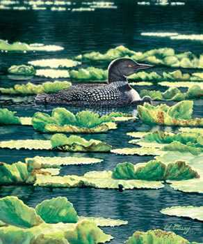Loons by Ed Tussey Pricing Limited Edition Print image