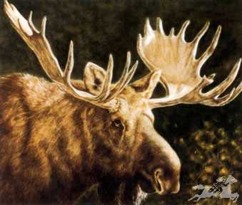 Alaskan Monarch by Judi E Rideout Pricing Limited Edition Print image