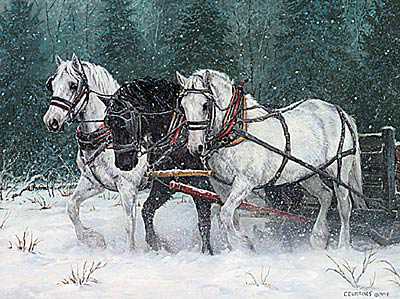 December Snowfall by Chris Cummings Pricing Limited Edition Print image