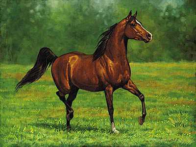 Thats Horse Arbn Barem by Chris Cummings Pricing Limited Edition Print image