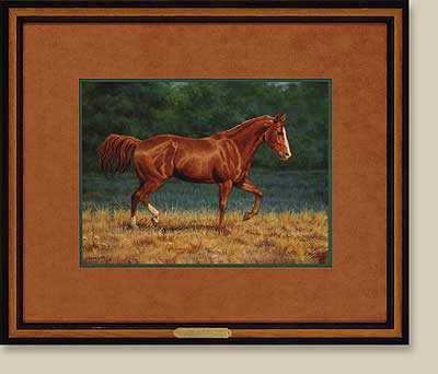 Thats Horse Sorr by Chris Cummings Pricing Limited Edition Print image