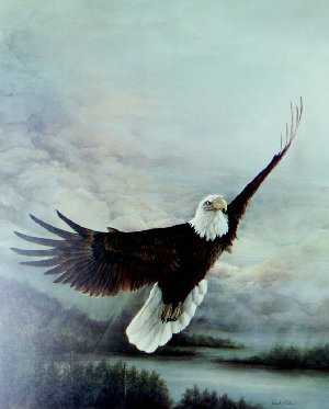 Time To Soar St by Larry Martin Pricing Limited Edition Print image