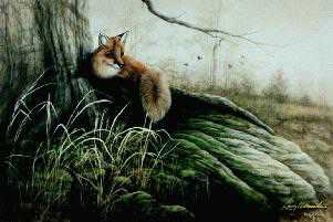 Laid Back Red Fox Cls by Larry Martin Pricing Limited Edition Print image