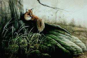 Laid Back Red Fox Cls by Larry Martin Pricing Limited Edition Print image