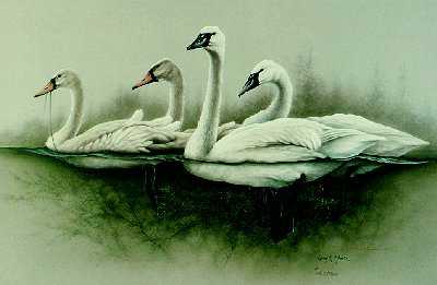 Trumpeter Swan Fam Cls by Larry Martin Pricing Limited Edition Print image
