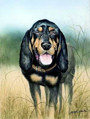 Smiling Hound Cls by Larry Martin Pricing Limited Edition Print image