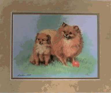 Pomeranian by Linda Picken Pricing Limited Edition Print image