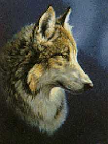 Wolf Head by Linda Picken Pricing Limited Edition Print image