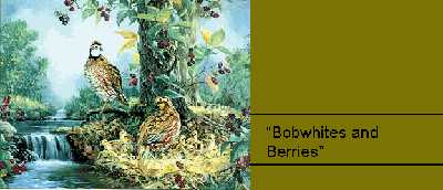Bobwhites & Berries by Linda Picken Pricing Limited Edition Print image