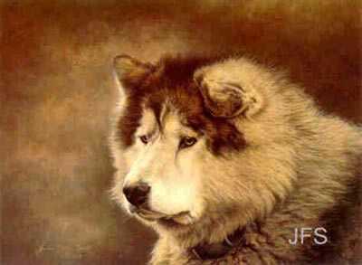 Veteran Husky by Jeanne Filler Scott Pricing Limited Edition Print image