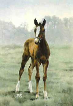 Young Aristocrat by Jeanne Filler Scott Pricing Limited Edition Print image