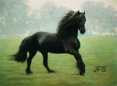 Friesian Delight by Jeanne Filler Scott Pricing Limited Edition Print image