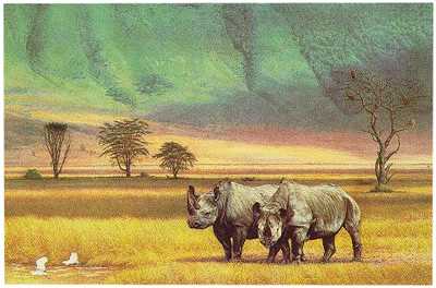 Companions Ngoro by Dennis Curry Pricing Limited Edition Print image