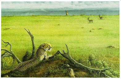 Elsa by Dennis Curry Pricing Limited Edition Print image