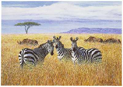 Walking Uaso by Dennis Curry Pricing Limited Edition Print image