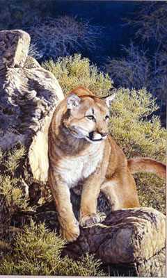 Americas Lion by Dennis Curry Pricing Limited Edition Print image
