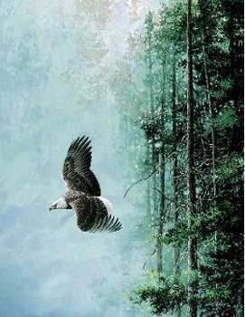 On Silent Wings by Les Didier Pricing Limited Edition Print image