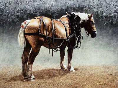 Untitled Draft Horse by Patricia Bourque Pricing Limited Edition Print image