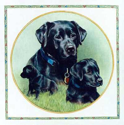 Black Labs by Patricia Bourque Pricing Limited Edition Print image