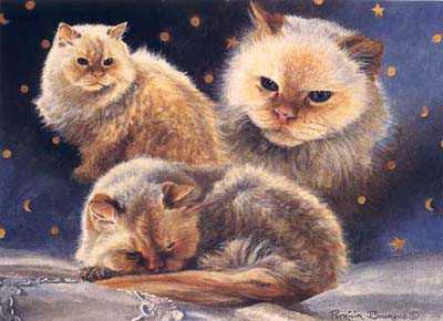 Merlin by Patricia Bourque Pricing Limited Edition Print image
