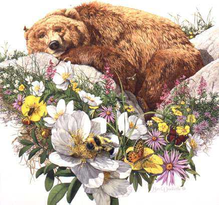 Bugged Bear by Bev Doolittle Pricing Limited Edition Print image