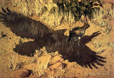 Escape By A Hare by Bev Doolittle Pricing Limited Edition Print image