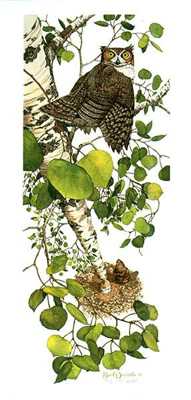 Whoo by Bev Doolittle Pricing Limited Edition Print image