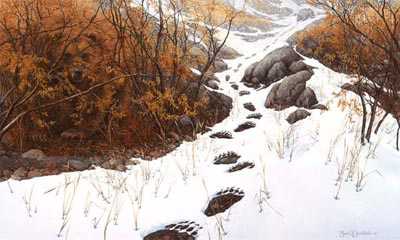 Doubled Back by Bev Doolittle Pricing Limited Edition Print image