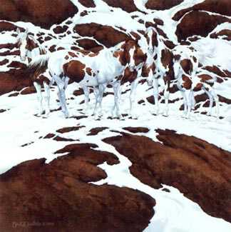 Pintos Study by Bev Doolittle Pricing Limited Edition Print image